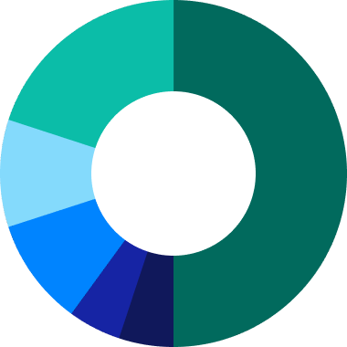 tokens distribution